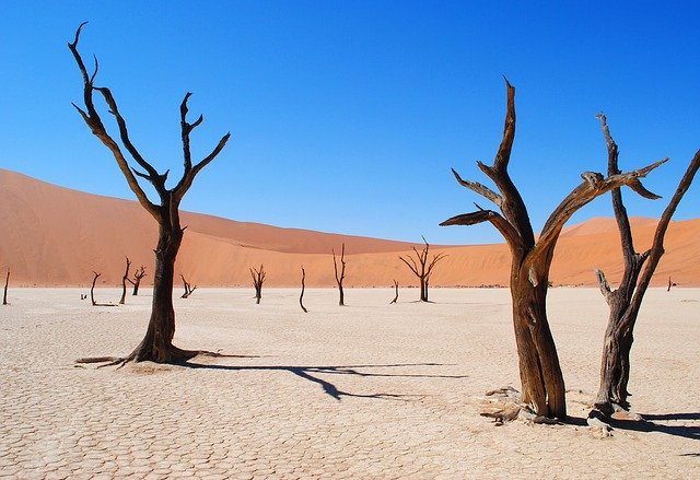 Namibie, Afrika